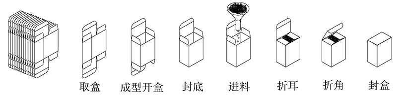 利悅自動數(shù)數(shù)立式裝盒機(jī)包裝流程示意圖